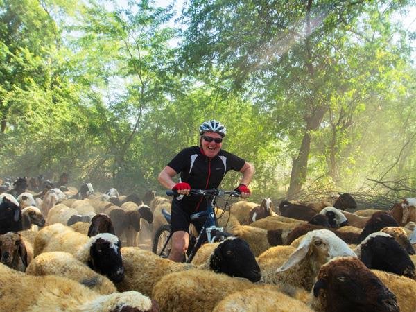 Rajasthan Cycling Tour with Taj and Tigers 16 Days